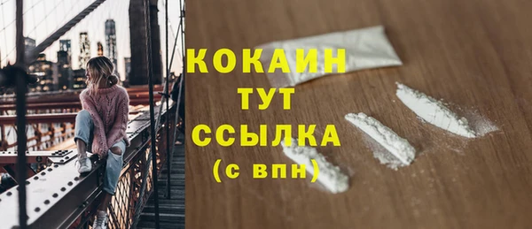 мдпв Богородск