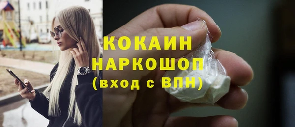 мдпв Богородск